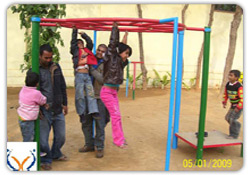 Fitness Equipment - Horizontal Climber - FE11